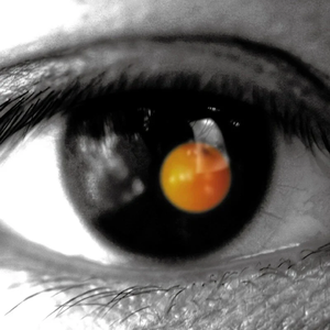 香蕉视频黄网站
